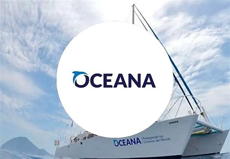 best ocean conservation charities|Oceana .